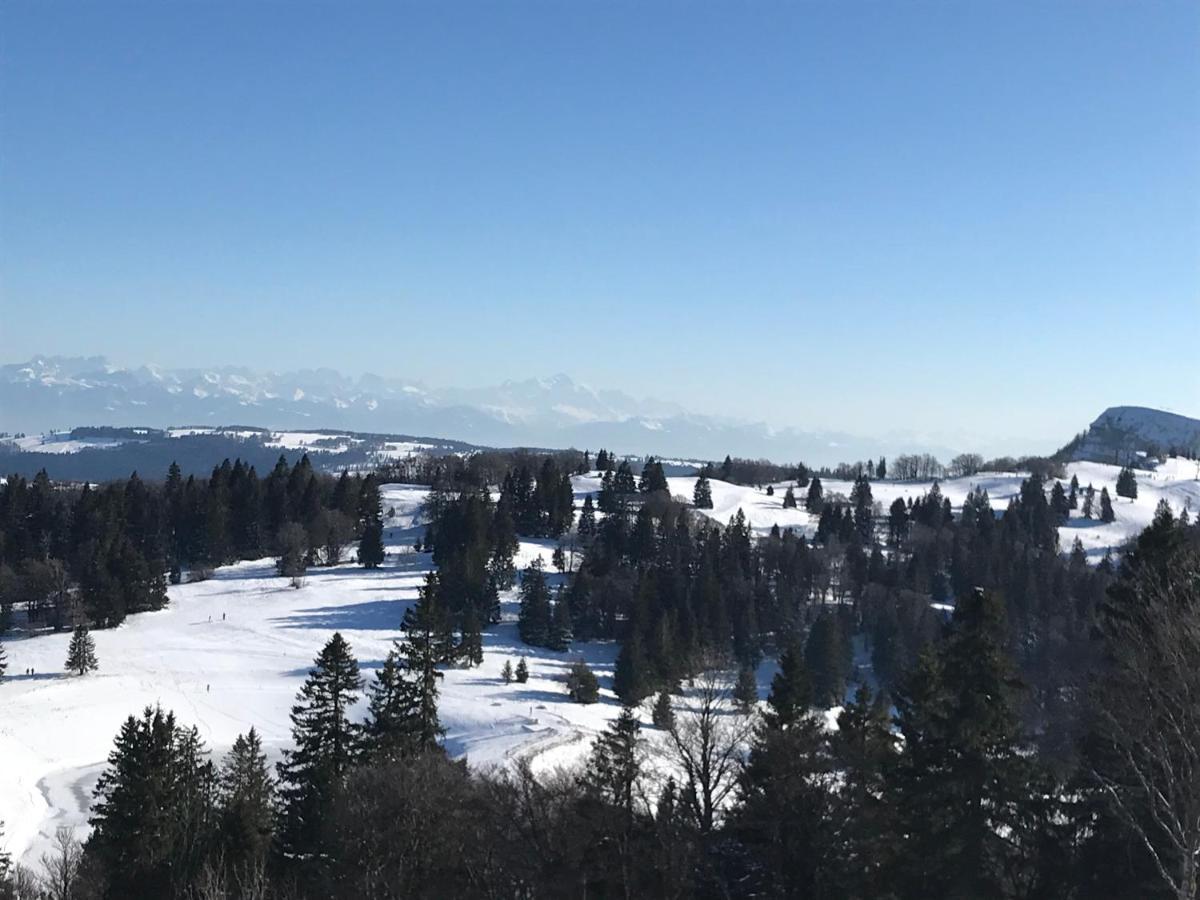 Chalet De La Baume La Chatelaine Экстерьер фото